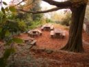 Herbst Idylle