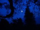 Nacht